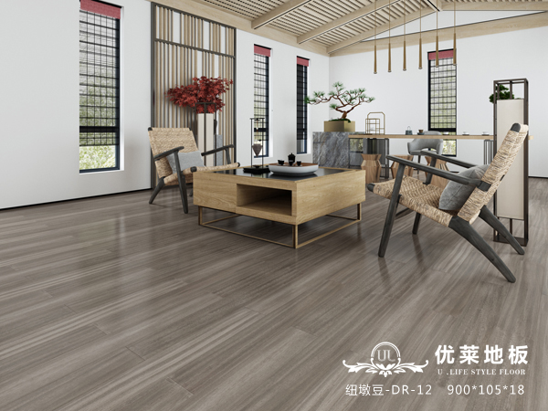 紐墩豆-DR-12